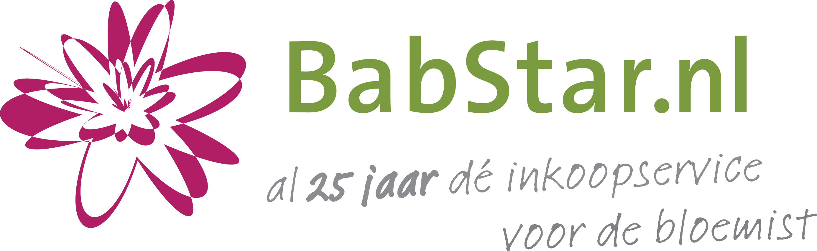 Logo Bab Star Jr