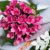Bouvardia