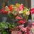 Anthurium