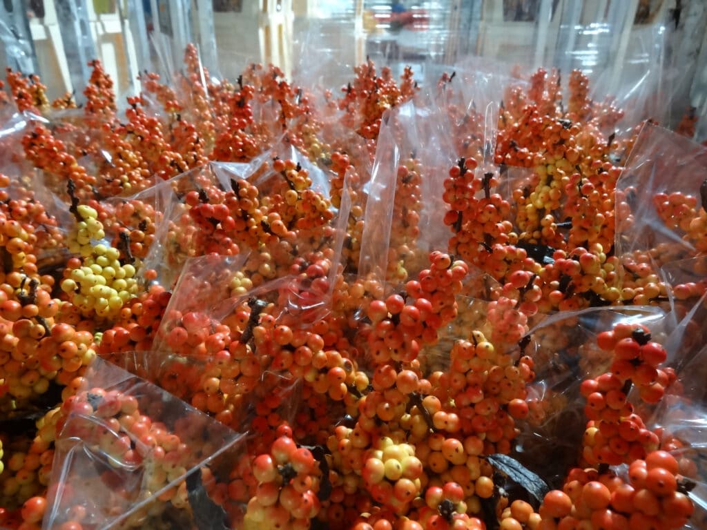 oranje ilex