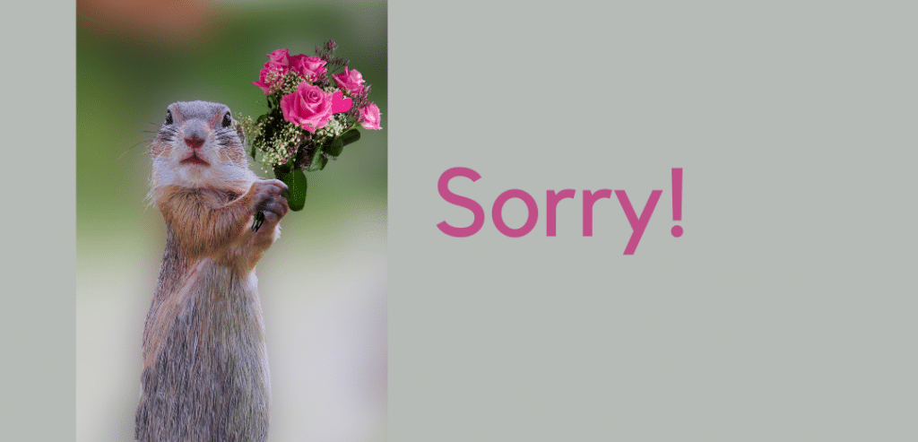 Sorry! Een bloemetje voor jou.