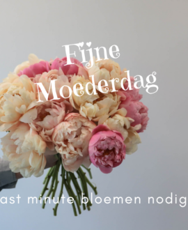 Openingstijden Moederdag 2023 10 mei 2023