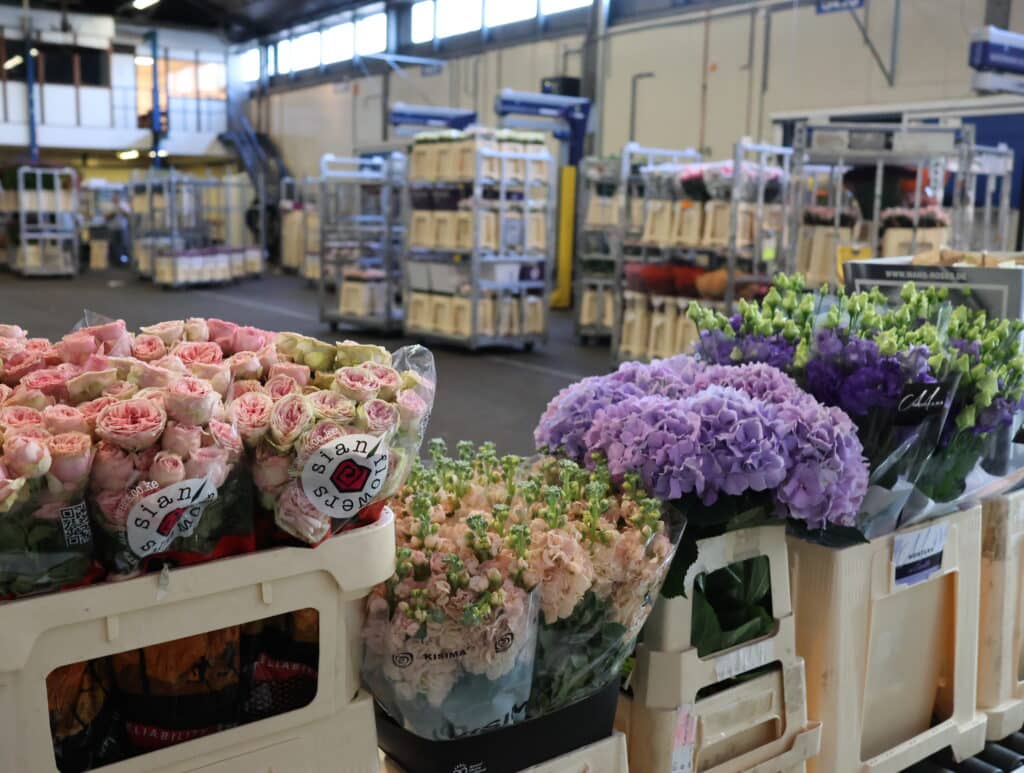 openingstijden webshop bloemen