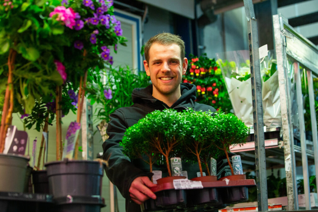 one-stop-webshop planten