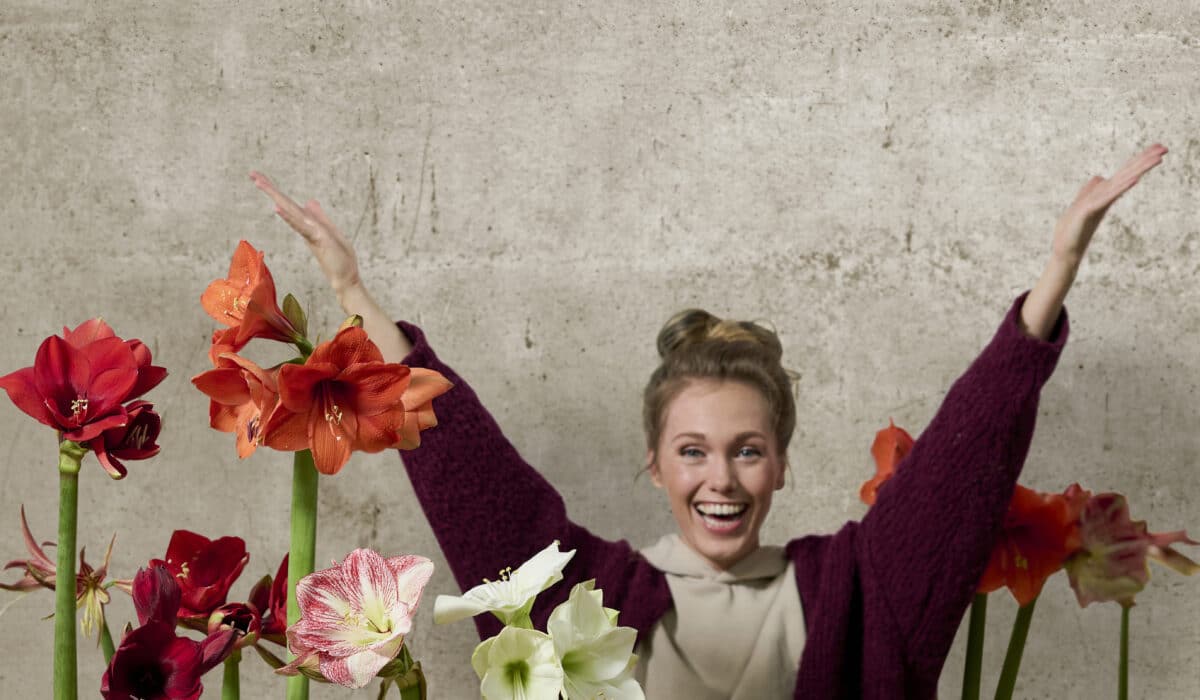Foto Het is weer tijd voor Amaryllis