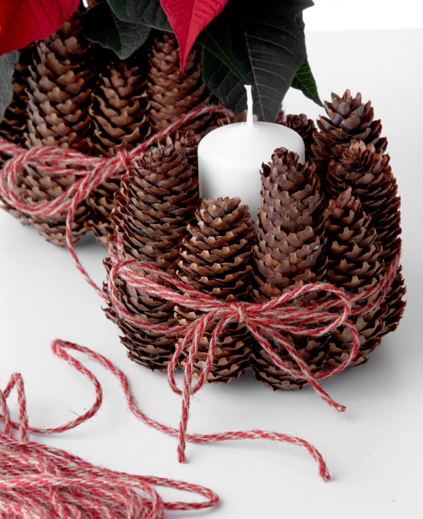 DIY_pine_cone_vase_poinsettia