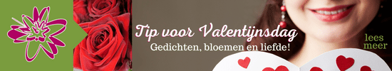 Valentijnsdag gedicht