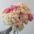 Pioenroos Paeonia