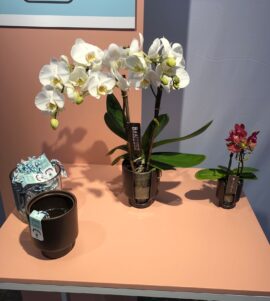 products