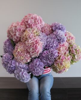 Selecteer je favoriete bloemen 20 juli 2023