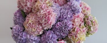 Selecteer je favoriete bloemen