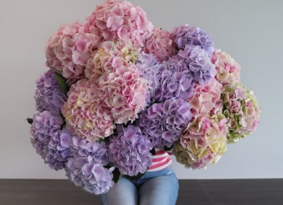 Selecteer je favoriete bloemen
