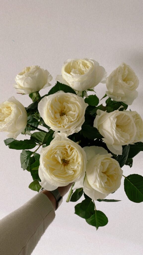witte rozen zijn favoriete bloemen