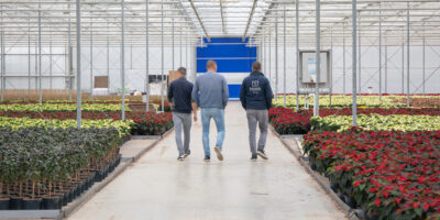 Ontdek de magie van Winterplanten 30 oktober 2023