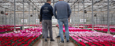 Ontmoet de plantenkweker